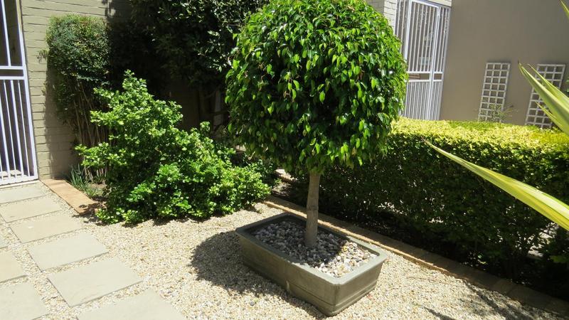 3 Bedroom Property for Sale in De Tijger Western Cape